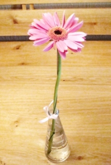 Blume in einer Vase auf einem Holztisch